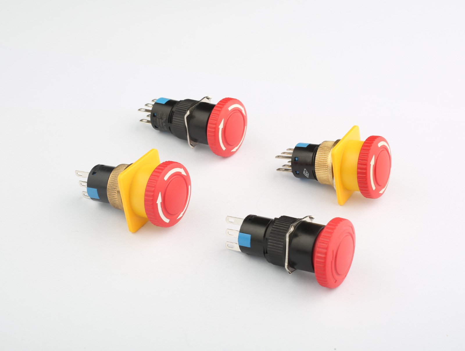 098A1879.jpg 098A1879.jpg