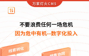 不要浪費(fèi)任何一場危機(jī)，因為危中有機(jī)--數(shù)字化投入