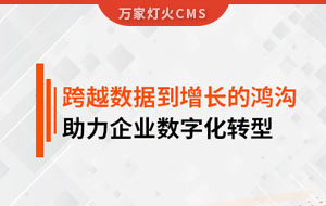 跨越數(shù)據(jù)到增長(zhǎng)的鴻溝，助力企業(yè)數(shù)字化轉(zhuǎn)型